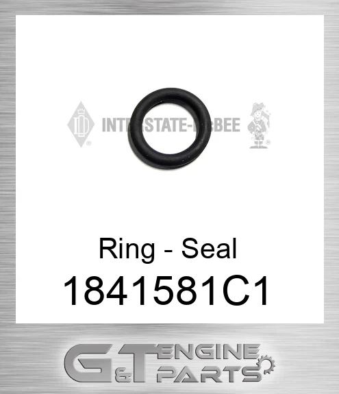 1841581C1 Ring - Seal