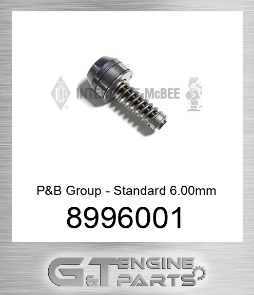 8996001 P&B Group - Standard 6.00mm