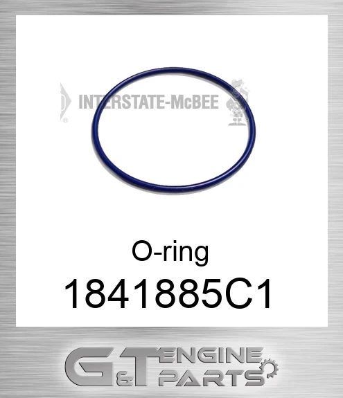 1841885C1 O-ring