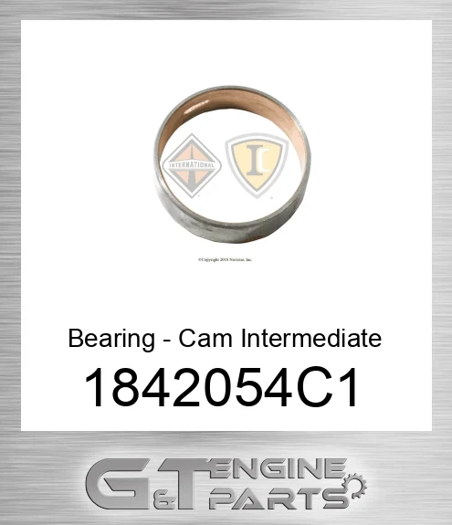 1842054C1 Bearing - Cam Intermediate