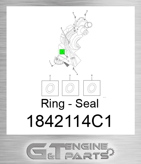 1842114C1 Ring - Seal