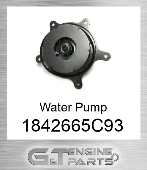 1842665C93 Water Pump