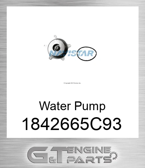 1842665C93 Water Pump