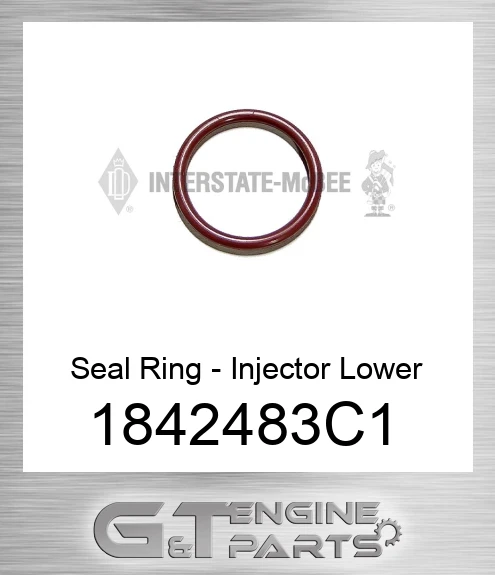 1842483C1 Seal Ring - Injector Lower