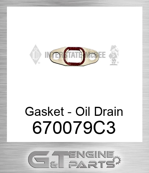 670079C3 Gasket - Oil Drain