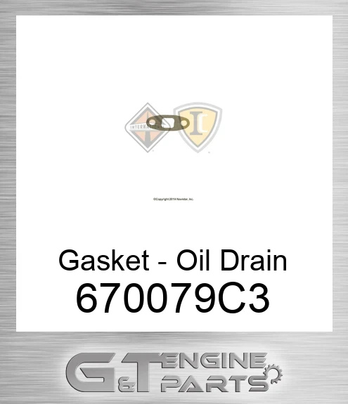 670079C3 Gasket - Oil Drain