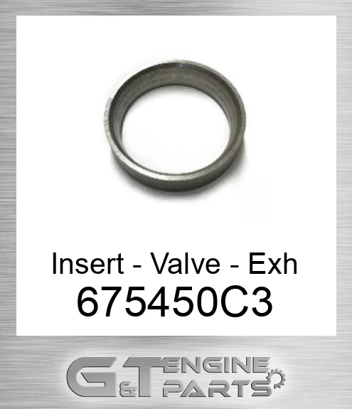 675450C3 Insert - Valve - Exh