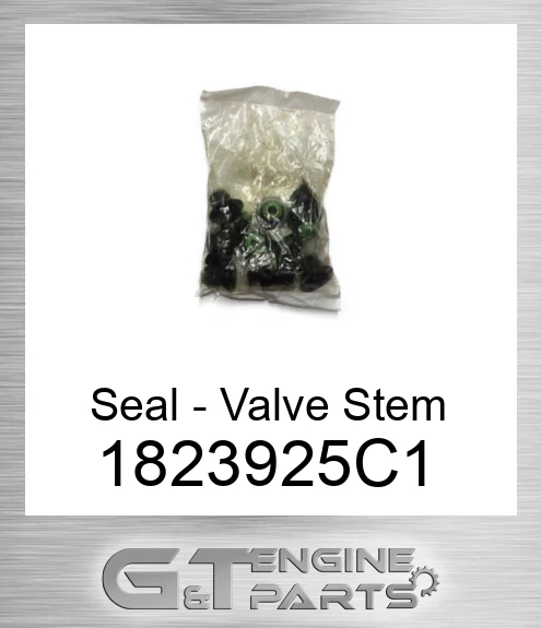 1823925C1 Seal - Valve Stem