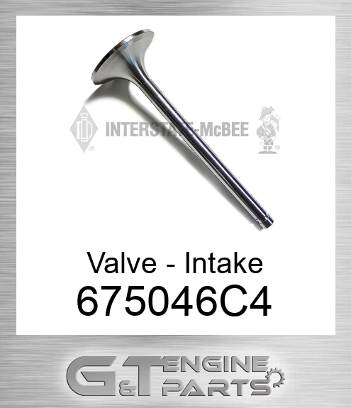 675046C4 Valve - Intake