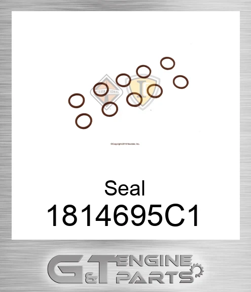 1814695C1 Seal