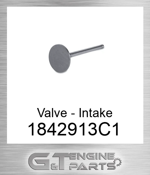 1842913C1 Valve - Intake