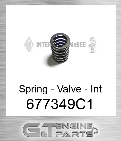 677349C1 Spring - Valve - Int