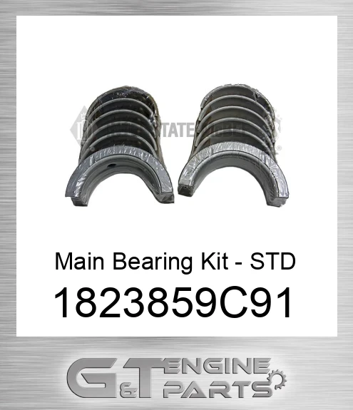 1823859C91 Main Bearing Kit - STD