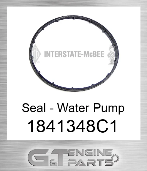 1841348C1 Seal - Water Pump