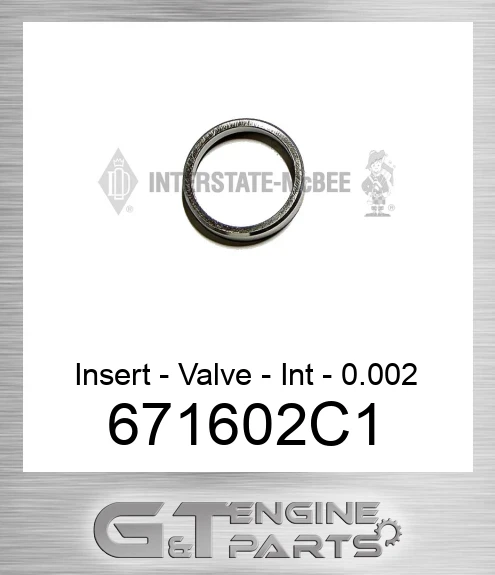 671602C1 Insert - Valve - Int - 0.002