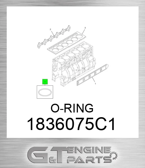 1836075C1 O-ring