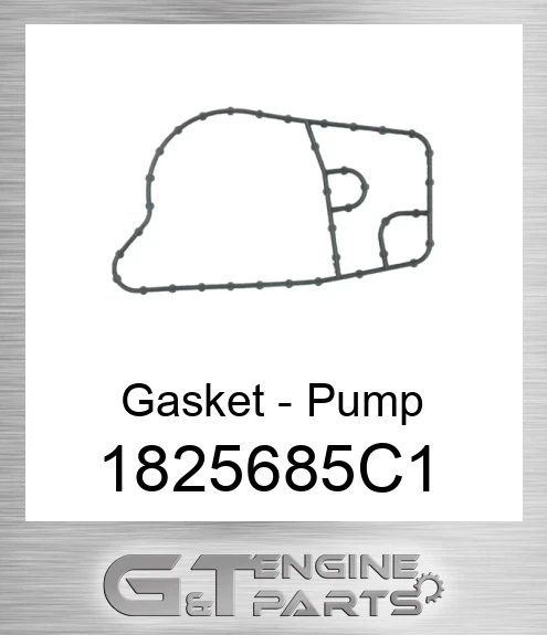 1825685C1 Gasket - Pump
