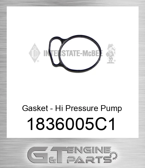 1836005C1 Gasket - Hi Pressure Pump