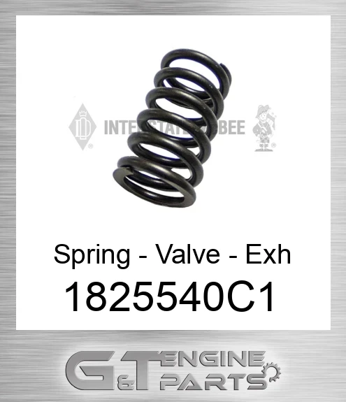1825540C1 Spring - Valve - Exh