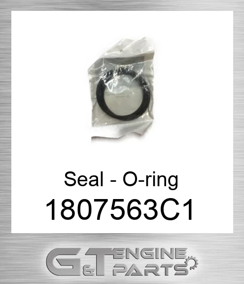 1807563C1 Seal - O-ring