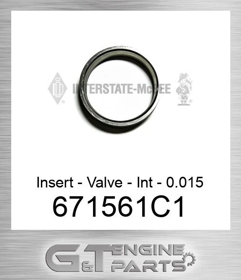 671561C1 Insert - Valve - Int - 0.015