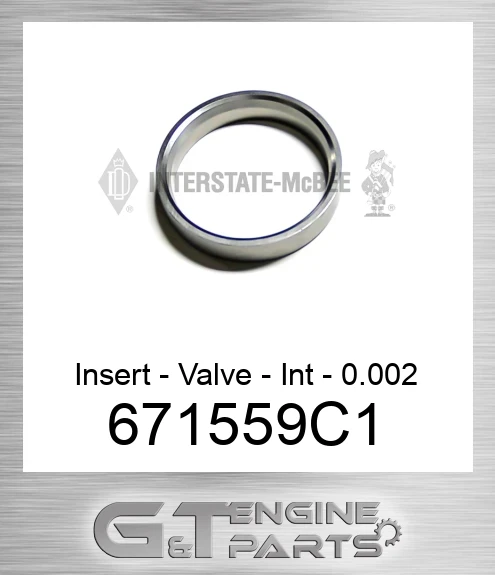 671559C1 Insert - Valve - Int - 0.002