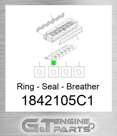 1842105C1 Ring - Seal - Breather