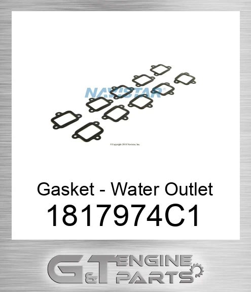 1817974C1 Gasket - Water Outlet