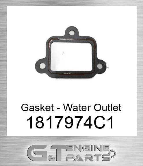 1817974C1 Gasket - Water Outlet