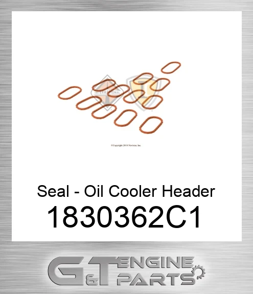 1830362C1 Seal - Oil Cooler Header