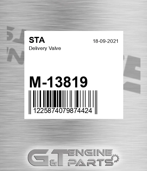 M-13819 Delivery Valve