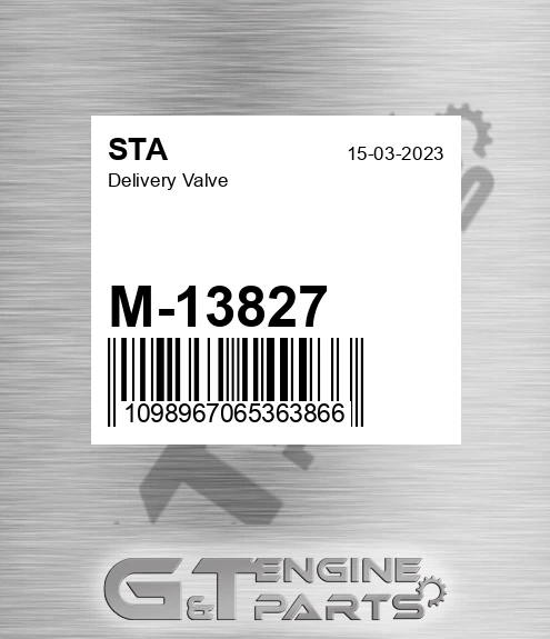 M-13827 Delivery Valve