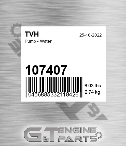107407 Pump - Water