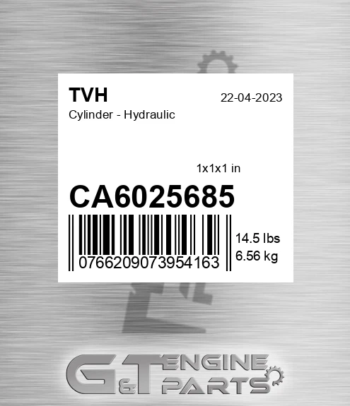 CA6025685 Cylinder - Hydraulic