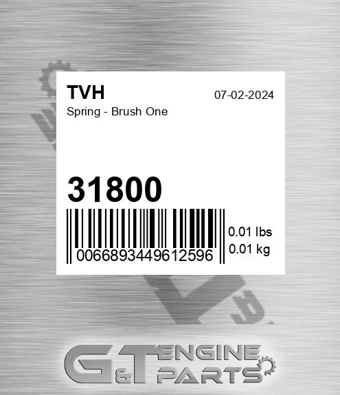 31800 Spring - Brush One
