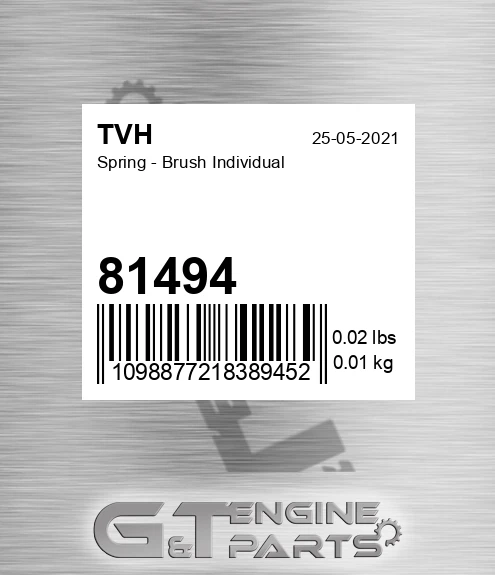 81494 Spring - Brush Individual