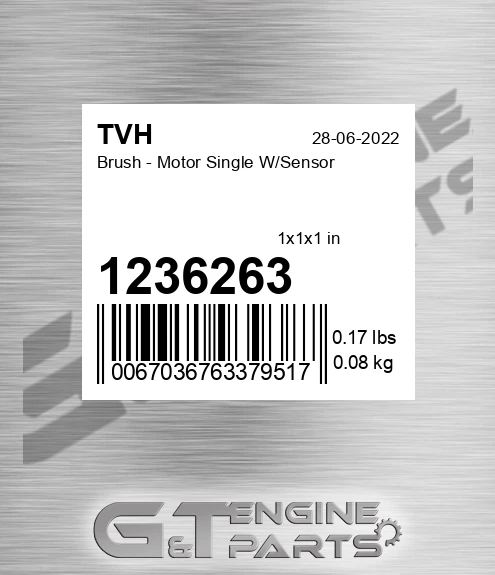 1236263 Brush - Motor Single W/Sensor