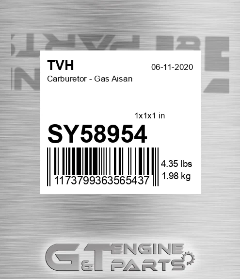 SY58954 Carburetor - Gas Aisan