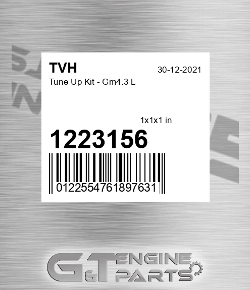 1223156 Tune Up Kit - Gm4.3 L