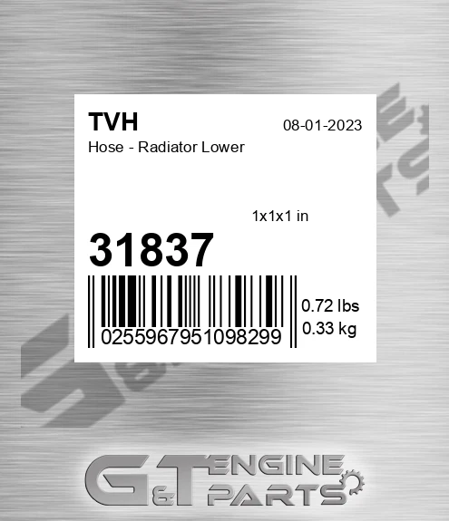 31837 Hose - Radiator Lower