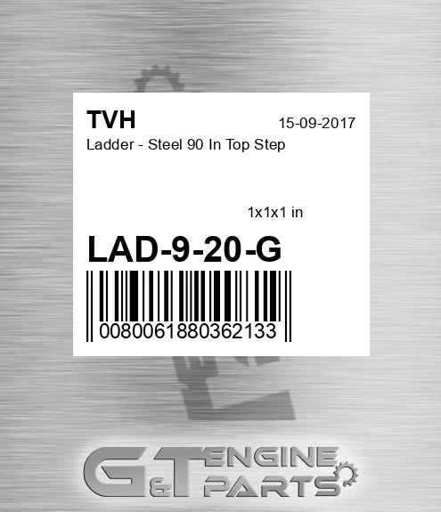 LAD-9-20-G Ladder - Steel 90 In Top Step
