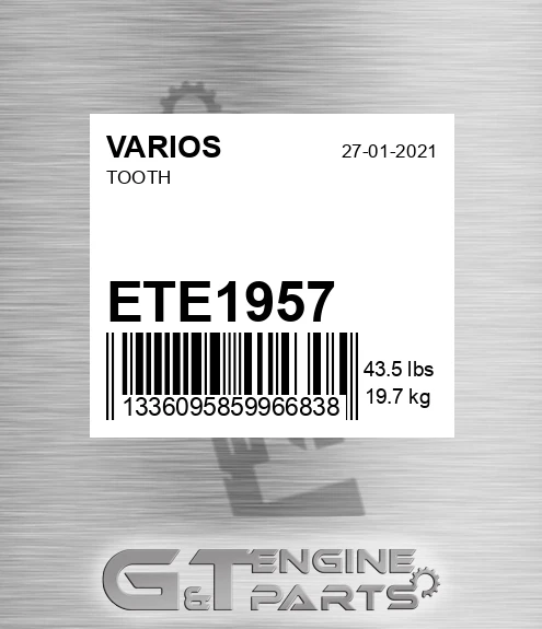 ETE1957 Tooth