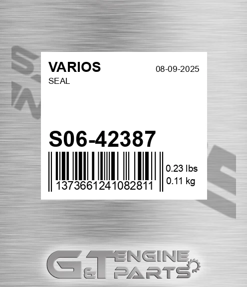 S06/42387 Seal