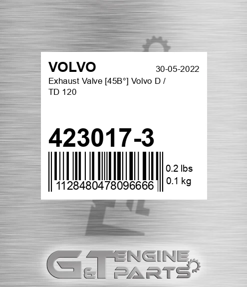 423017-3 Exhaust Valve [45В°] D / TD 120