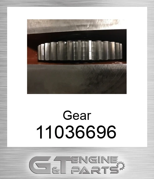 11036696 Gear