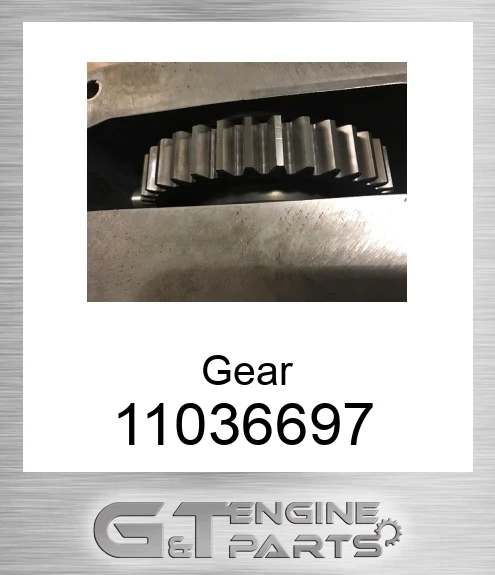 11036697 Gear