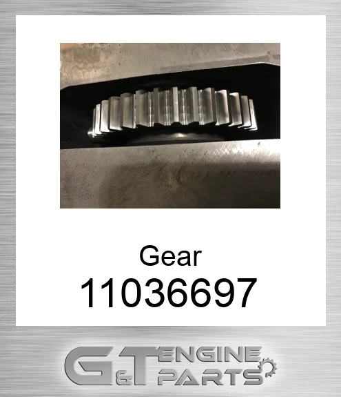 11036697 Gear