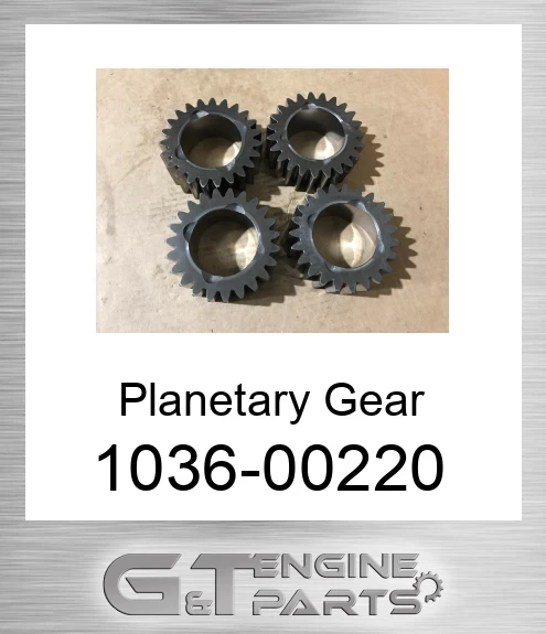 1036-00220 Planetary Gear