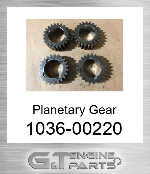 1036-00220 Planetary Gear