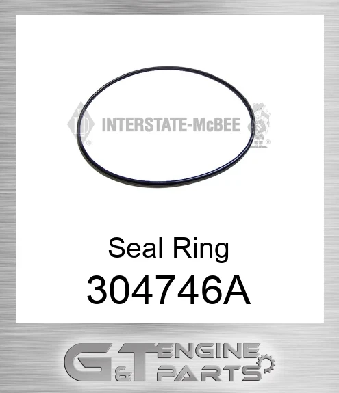 304746A Seal Ring
